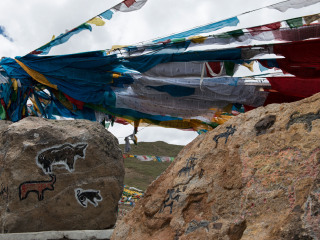 西藏游花多少錢_西藏跟團還是自由行_西藏旅游一次多少錢