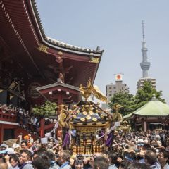 景点模块 