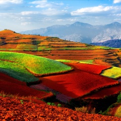 景点模块 