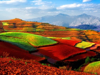 云南旅游的價格_云南旅游高端團_云南十一日游旅游團