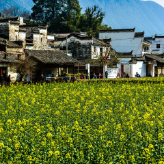 景点模块 