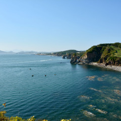 小交通模块 