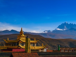 8月西藏林芝旅游_西藏林芝半自由行_西藏林芝特價旅游團(tuán)報價