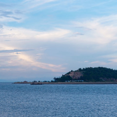 活动模块 