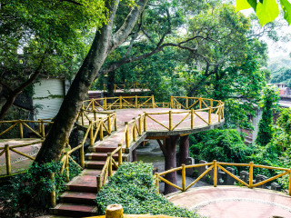 廈門鼓浪嶼旅行團(tuán)自由行_廈門鼓浪嶼自由行還是跟團(tuán)好_廈門鼓浪嶼報(bào)團(tuán)旅游多少錢