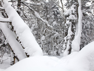 近期亞布力雪鄉(xiāng)游價(jià)格_8月亞布力雪鄉(xiāng)旅游_亞布力雪鄉(xiāng)游價(jià)格