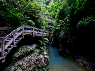 重慶報(bào)團(tuán)旅游多少錢(qián)_重慶旅游團(tuán)報(bào)價(jià)自由行_重慶報(bào)團(tuán)多少錢(qián)