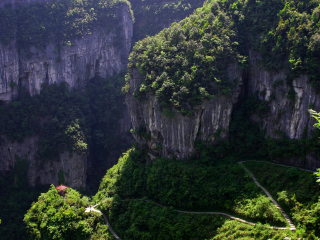 成都自由行組團_成都報團旅游多少錢_去成都游怎么省錢