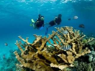 廣西北海旅游要多少錢2021_廣西北海2人旅游需要多少錢_廣西北海自由行還是跟團好