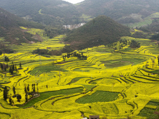 云南普者黑旅行團旅游報價_云南普者黑九月旅游_去云南普者黑游怎么省錢
