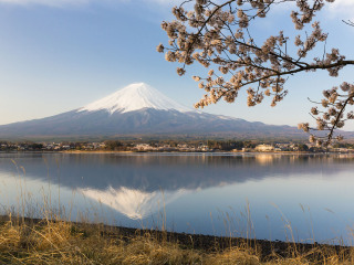 日本東京游組團_日本東京跟團還是自由行_日本東京旅游團報價自由行