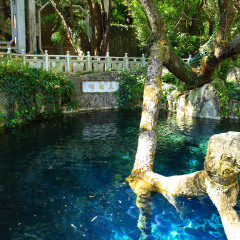 蝴蝶泉 景点模块