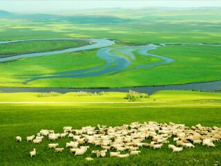 8月大連旅游_去大連靠譜的旅行團(tuán)_大連游跟團(tuán)