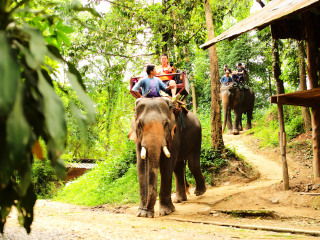 泰國清邁私人定制旅游_特價泰國清邁游_泰國清邁旅游團報價自由行