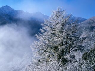 去四川海螺溝旅游怎么走_四川海螺溝旅游一次多少錢_四川海螺溝游特價團