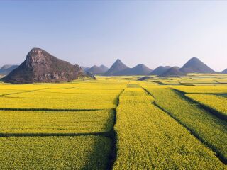 云南普者黑旅行團旅游報價_云南普者黑九月旅游_去云南普者黑游怎么省錢