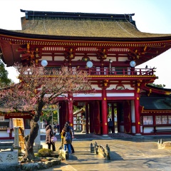 景点模块 