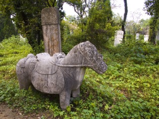 去青岛旅游多少钱_到青岛旅行_青岛旅行哪家好