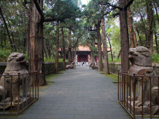 去青岛旅游多少钱_到青岛旅行_青岛旅行哪家好