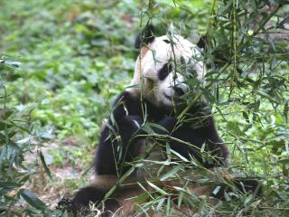 色达9天自由行多少钱_公司旅游色达_色达旅游组团
