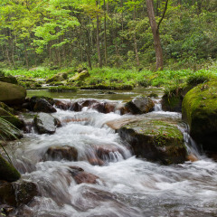 景点模块 