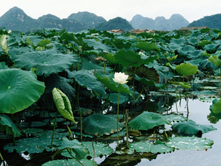 昆明出境游_最近去昆明旅行_去昆明旅游组团