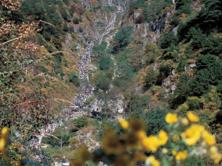 青島旅行團_組團去青島_正月青島游報價