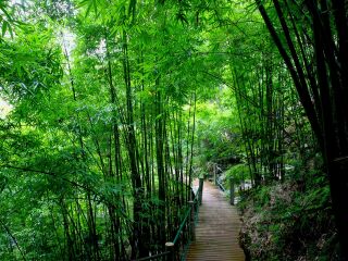 杭州旅行价格_去杭州会议旅游_杭州几日跟团旅游