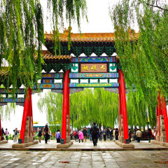 景点模块 