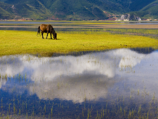 香格里拉10日游多少钱_豪华香格里拉游_旅游香格里拉