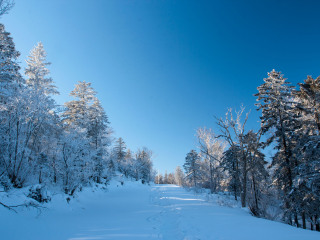 以往國(guó)慶亞布力雪鄉(xiāng)游價(jià)格_亞布力雪鄉(xiāng)自由行還是跟團(tuán)好_亞布力雪鄉(xiāng)旅游一次多少錢