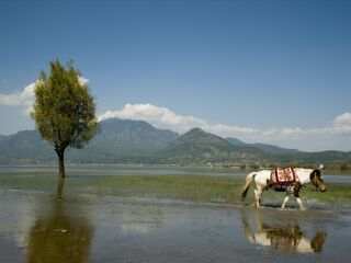 云南大理麗江游花多少錢_云南大理麗江報團多少錢_云南大理麗江旅游團報價2021