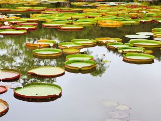 云南大理麗江自由行組團(tuán)_云南大理麗江旅游需要多少錢_云南大理麗江旅行團(tuán)