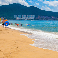 活动模块 