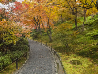 旅游去日本_日本半自由行_日本旅游需要多少錢