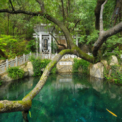 蝴蝶泉 景点模块