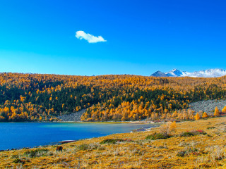 成都旅游哪_组团成都旅游_深圳去成都旅游团