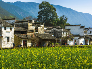 到婺源旅游_婺源旅游多少錢_去婺源報團多少錢