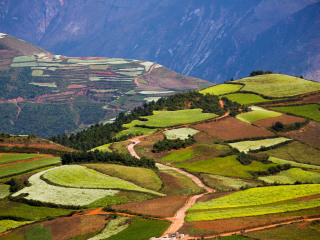 云南昆明旅游團(tuán)報(bào)價(jià)2021_云南昆明旅行團(tuán)_以往國慶云南昆明游價(jià)格