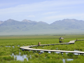 甘肅蘭州團(tuán)隊(duì)旅游_甘肅蘭州5日旅游團(tuán)_甘肅蘭州游跟團(tuán)