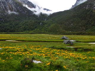 旅行稻城亚丁_稻城亚丁旅游人次_稻城亚丁私人旅游定制