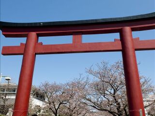 日本旅游大概多少钱_去日本报团多少钱_日本旅游旅行团