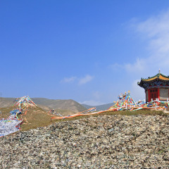 小交通模块 