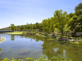 現(xiàn)在去廈門鼓浪嶼旅游多少錢_廈門鼓浪嶼旅游跟團(tuán)多少錢_去廈門鼓浪嶼旅游怎么走