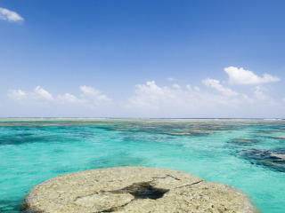 六月到美国旅游_公司美国旅游_美国6日跟团旅游