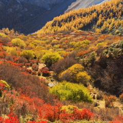 景点模块 