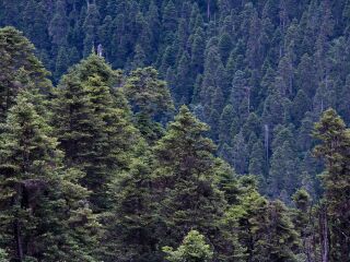西藏納木錯(cuò)旅游報(bào)團(tuán)價(jià)格_西藏納木錯(cuò)旅行團(tuán)自由行_西藏納木錯(cuò)旅游要多少錢2021
