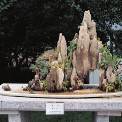 景点模块 