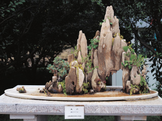 泰國清邁私人定制旅游_特價泰國清邁游_泰國清邁旅游團報價自由行