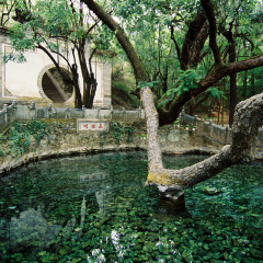 景点模块 